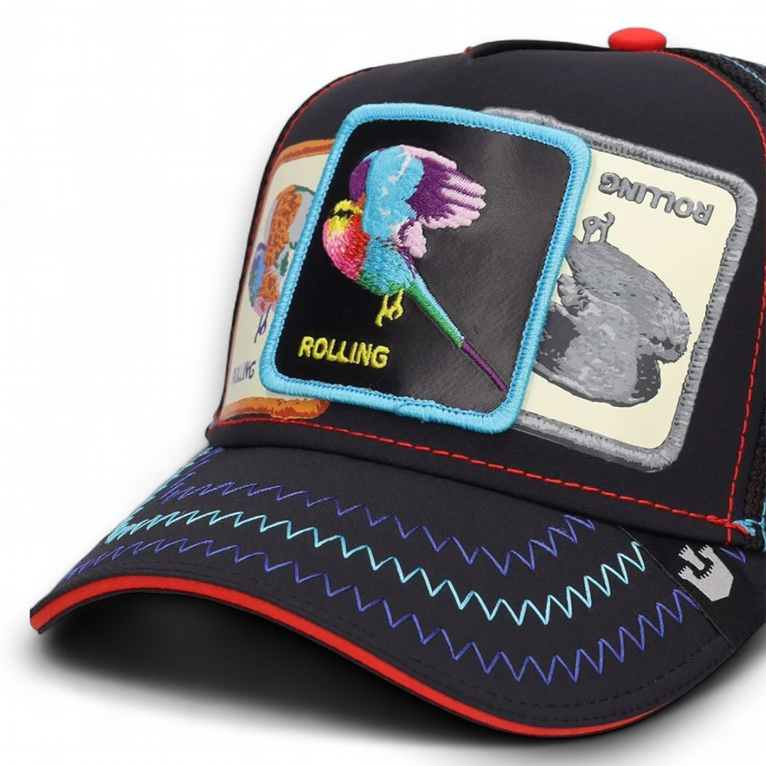 Goorin Cap Casquette BIRDS ROLLING