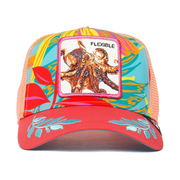Goorin Cap Casquette OCTOPUS FLEXIBLE
