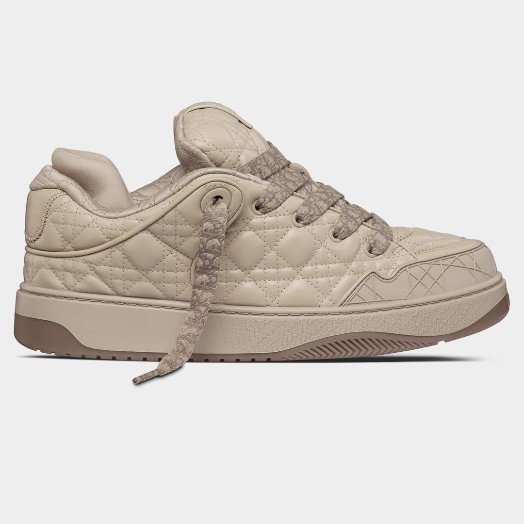 Dior B9S x ERL