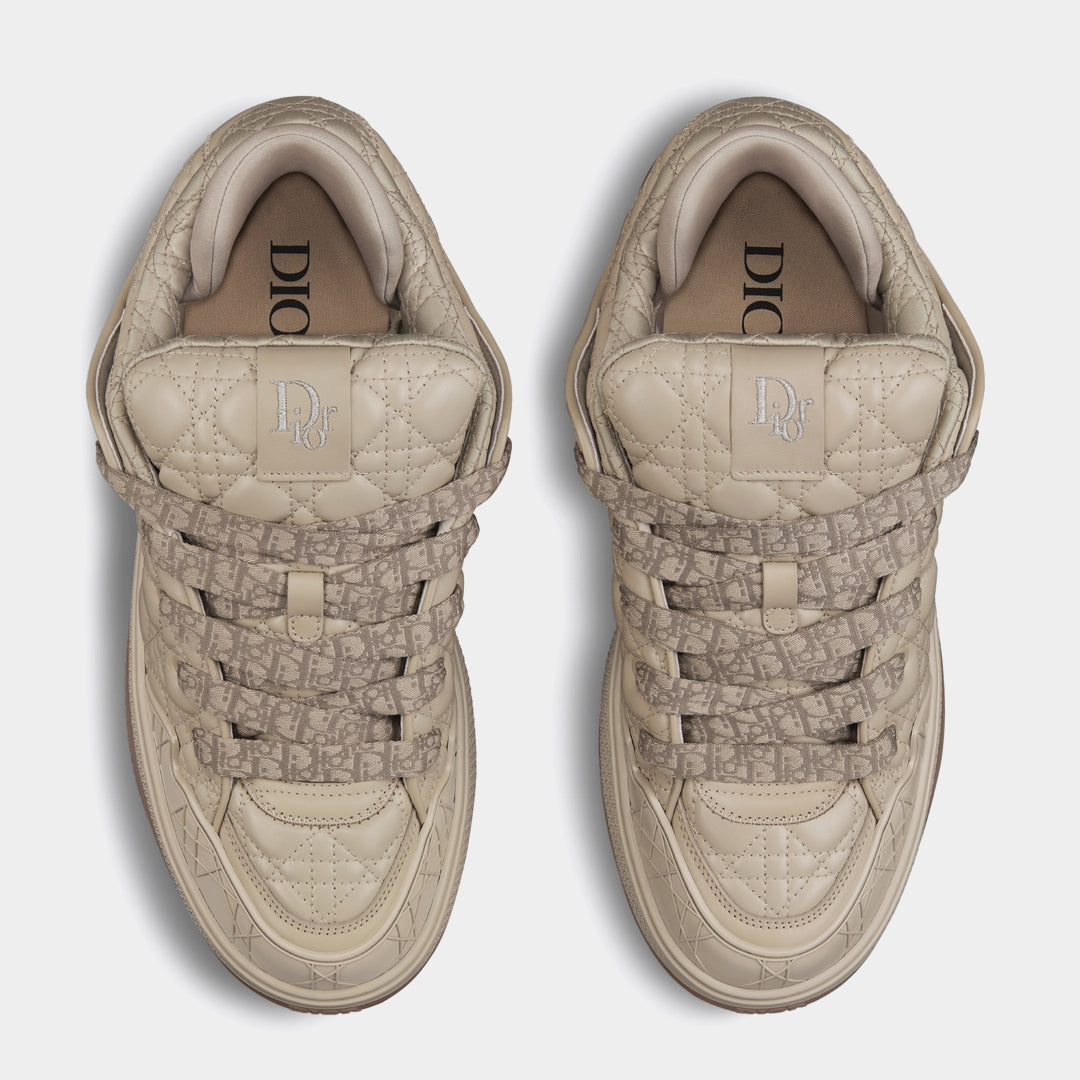 Dior B9S x ERL
