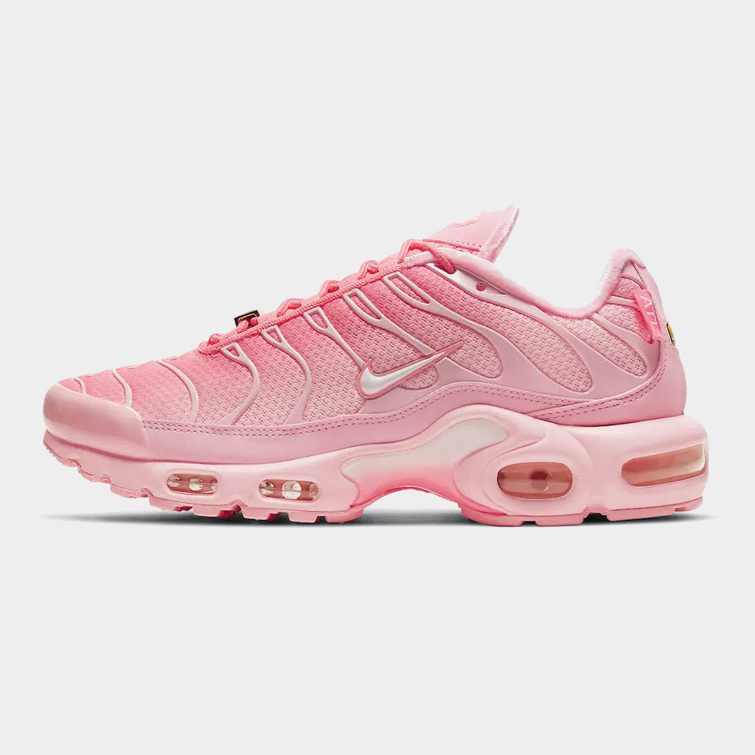 Nike Air Max Plus Atlanta