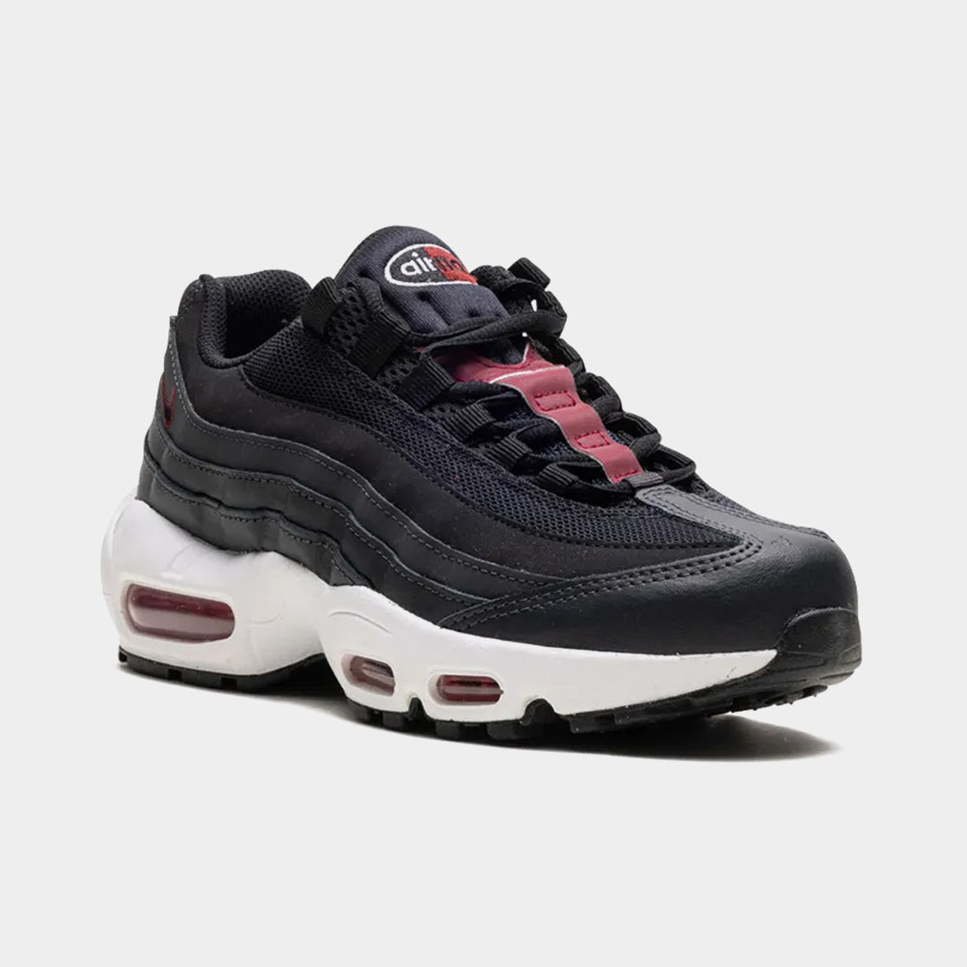 Nike Air Max 95 Anthracite Team