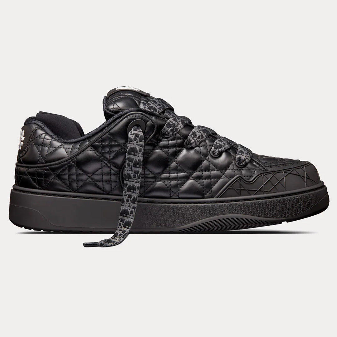 Dior B9S x ERL