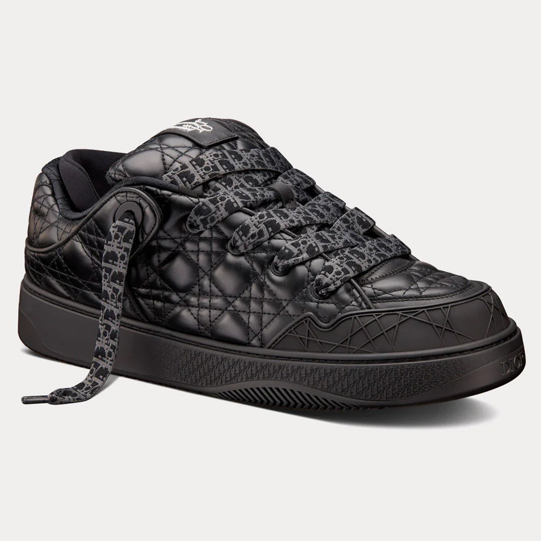 Dior B9S x ERL
