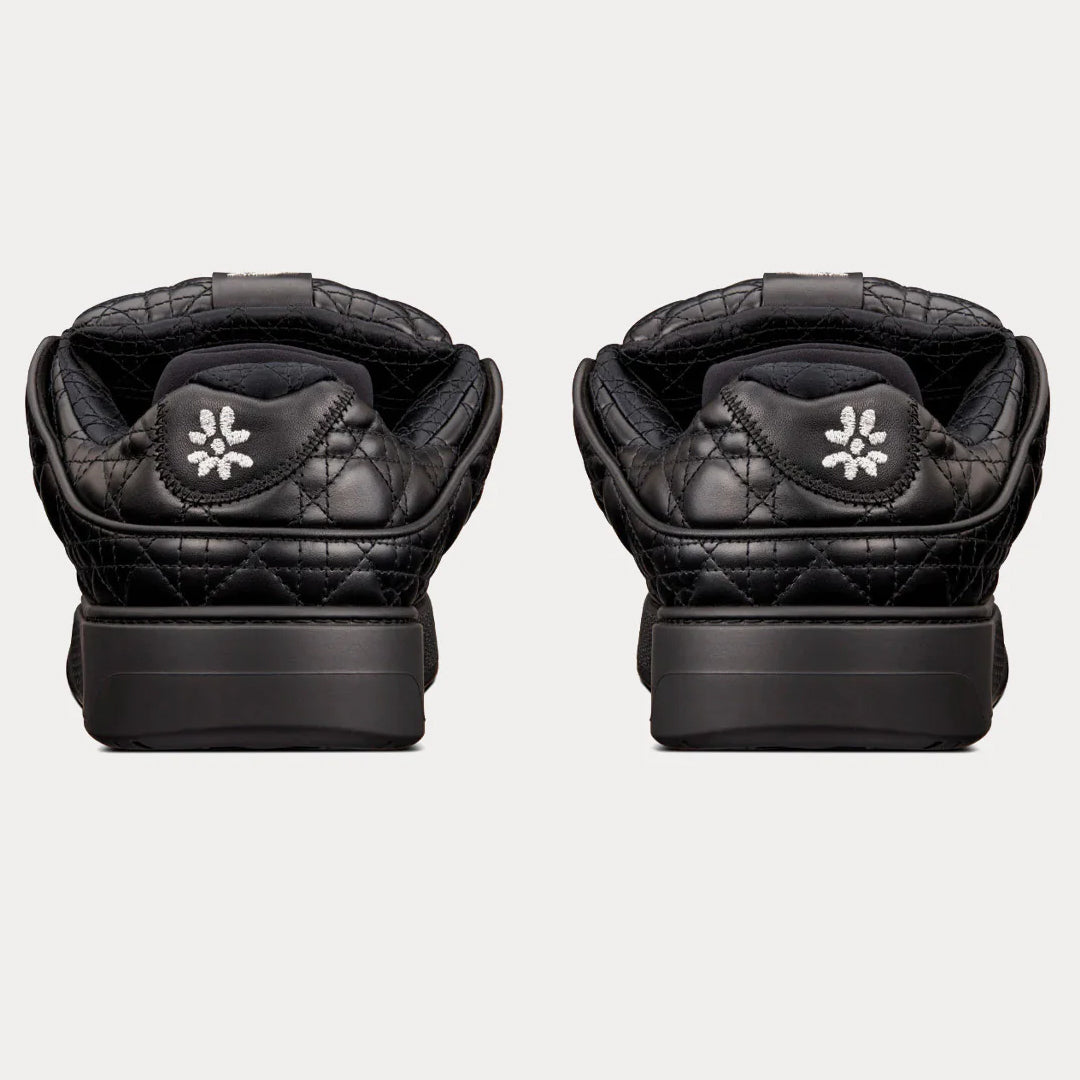 Dior B9S x ERL