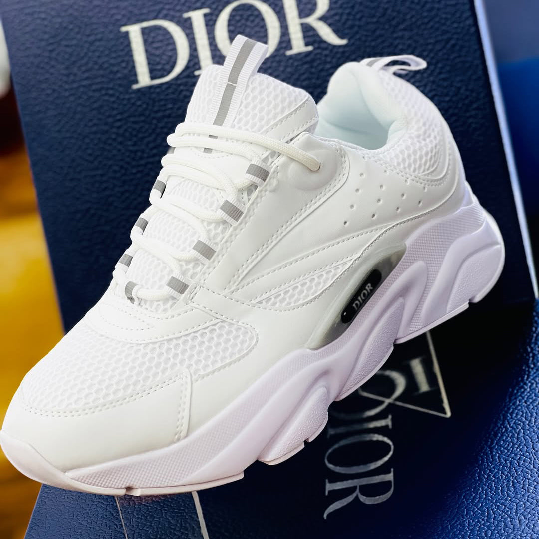 Dior B22