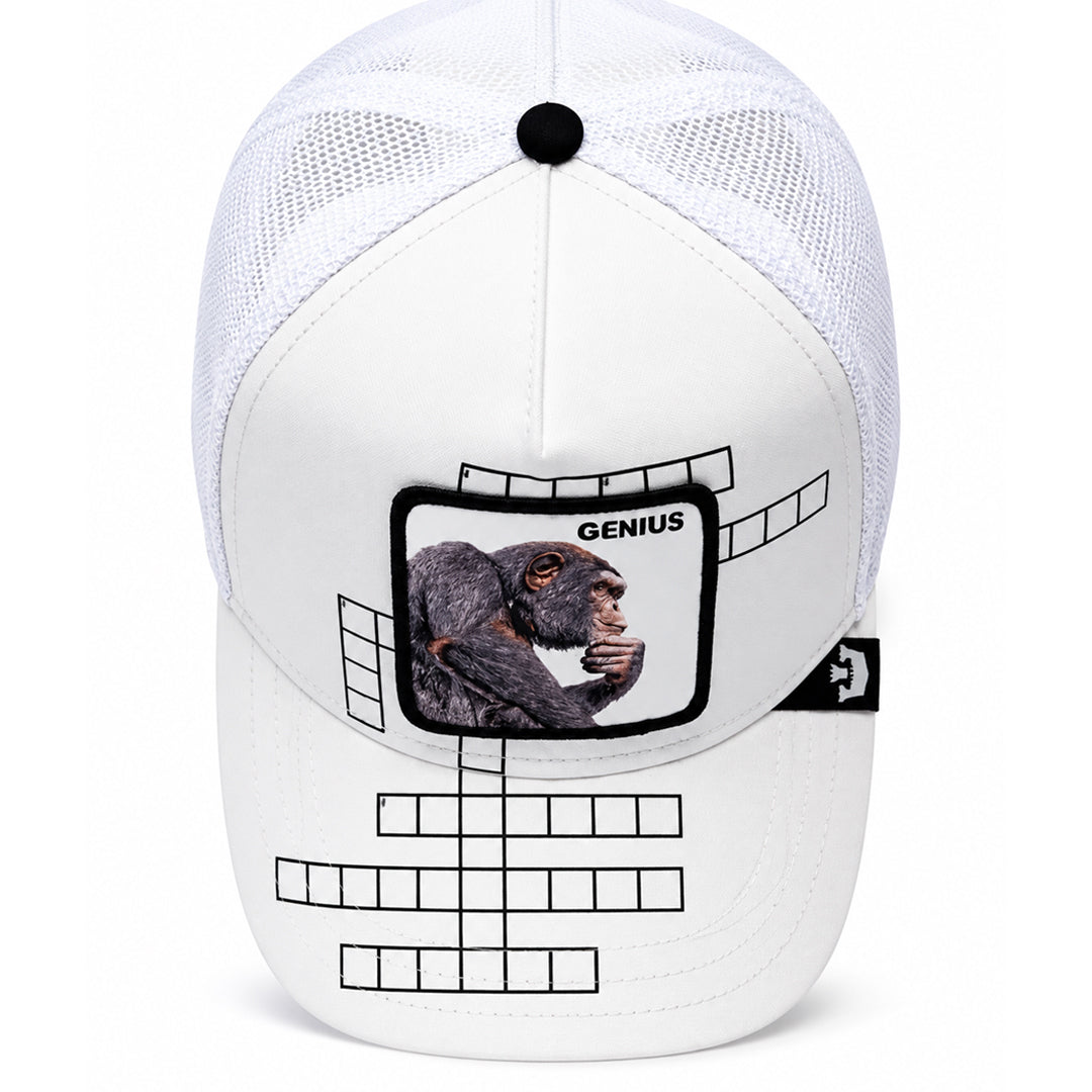 Goorin Bros Cap Trucker Genius